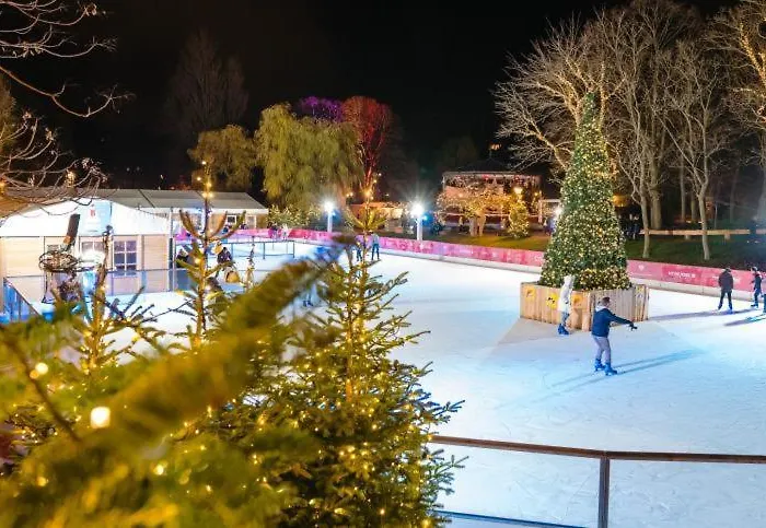 L'étoile D'eloïse Ostende